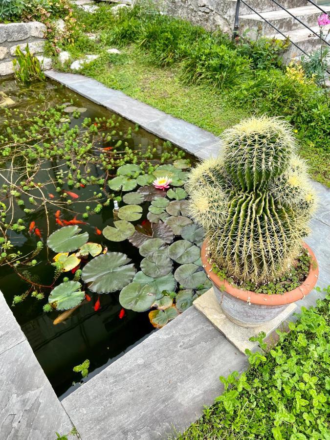 Villa Del Lis Гарньяно Экстерьер фото
